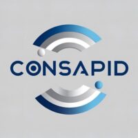 Consultancy for System and Process IT Design